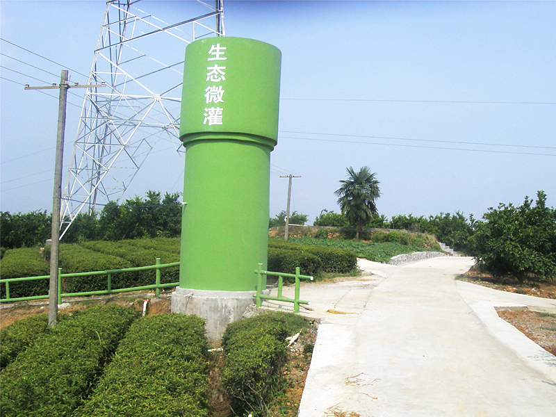 茶葉基地